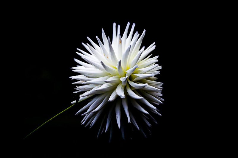 photography_student_of_the_month_Cora_Beattie_4