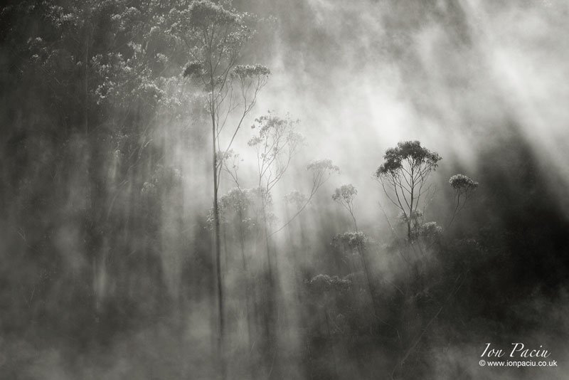 ion-paciu-misty-foggy-landscape-madeira